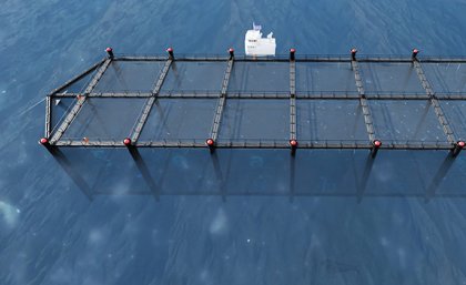 A render of the SeaFisher pen holding fish stocks in deep water. Image: Blue Economy CRC a render of a black rectangular shape floating in blue water with a small white boat adjacent to it